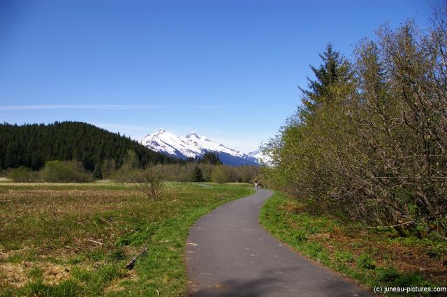 Clear Water Creek Trail aka Kaxdegoowu Heen Dei in Juneau Alaska 3.jpg