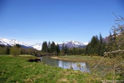 Clear Water Creek Trail aka Kaxdegoowu Heen Dei in Juneau Alaska 6.jpg