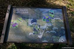 Emerging meadow sign at Clear Water Creek Trail aka Kaxdegoowu Heen Dei in Juneau Alaska.jpg