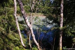 Glacierial pond at Clear Water Creek Trail aka Kaxdegoowu Heen Dei in Juneau Alaska.jpg