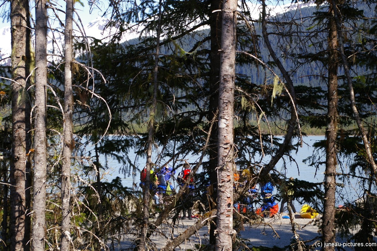 Kayakers in Juneau Alaska.jpg