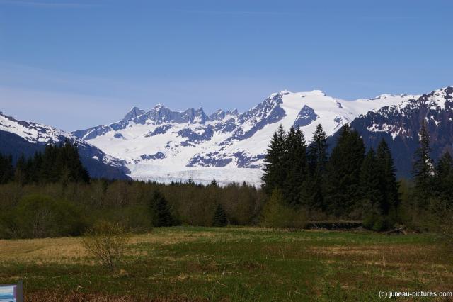 Mendenhall Glacier from a distance in Juneau Alaska.jpg