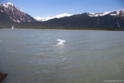Mendenhall Glacier lake 2.jpg