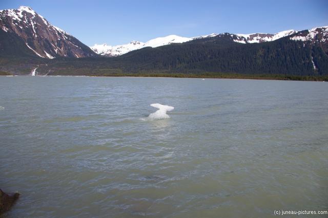 Mendenhall Glacier lake 2.jpg