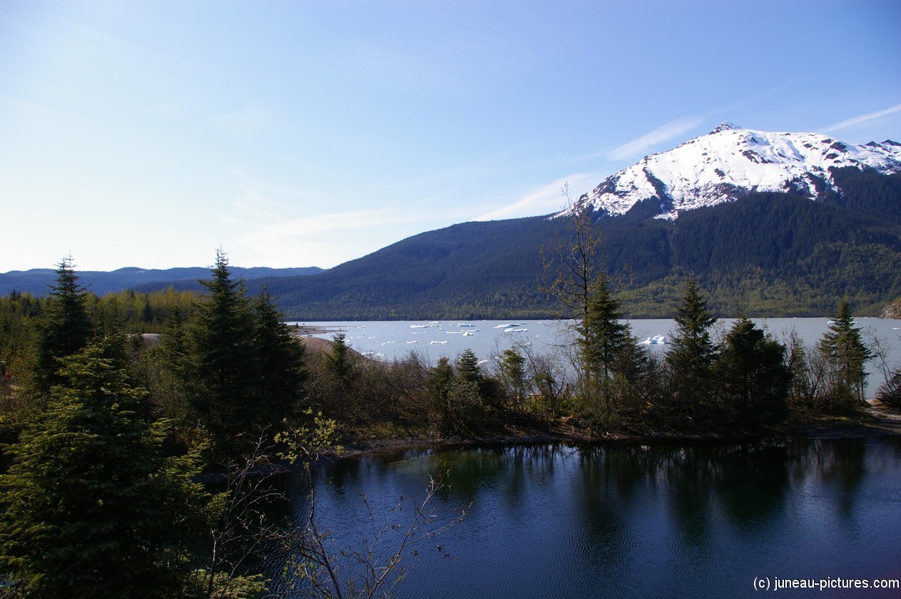 Mendenhall Glacier visitor area 3.jpg
