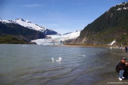 Mendenhall Glacier visitor area 10.jpg