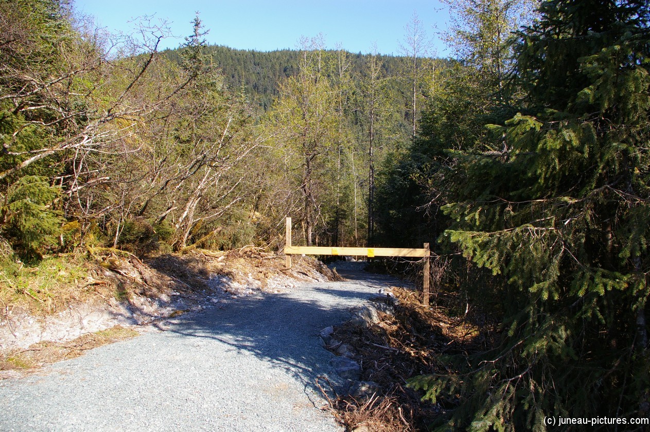 Mendenhall Glacier visitor area 15.jpg
