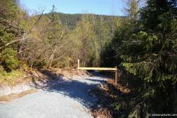 Mendenhall Glacier visitor area 15.jpg