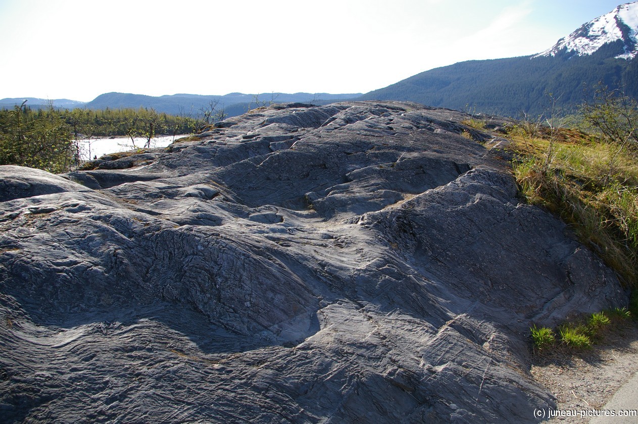 Mendenhall Glacier visitor area 16.jpg