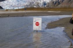 Mendenhall Glacier visitor area sign that says Do Not go Beyond This Point Birds Are Nesting in This Area.jpg