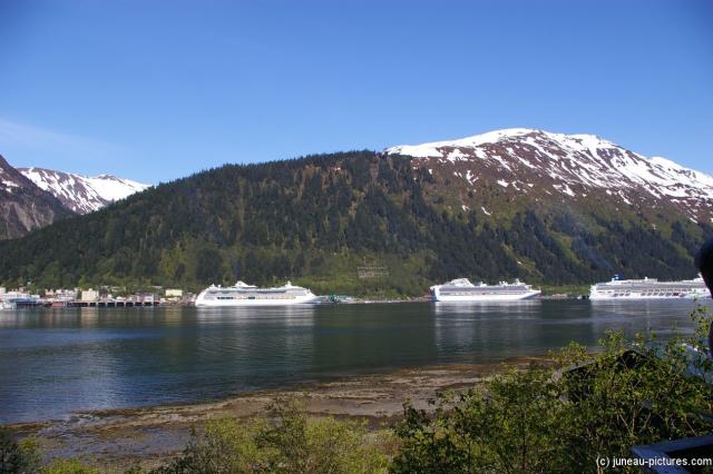 Three cruise ships in the distance as seen from Homestead Park Juneau.jpg
