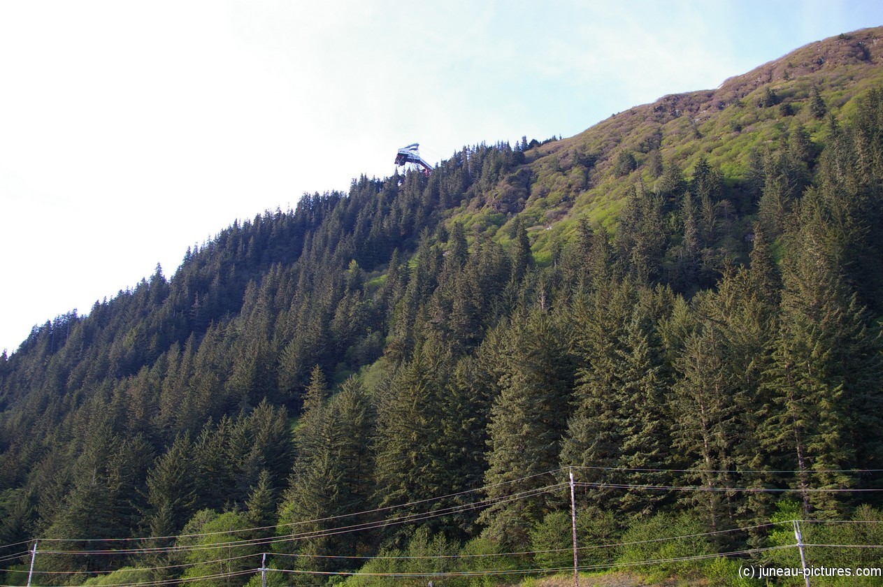 Mount Roberts in Juneau Alaska.jpg