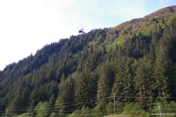 Mount Roberts in Juneau Alaska.jpg