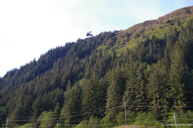 Mount Roberts in Juneau Alaska.jpg