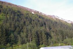 Mount Roberts in Juneau Alaska 3.jpg