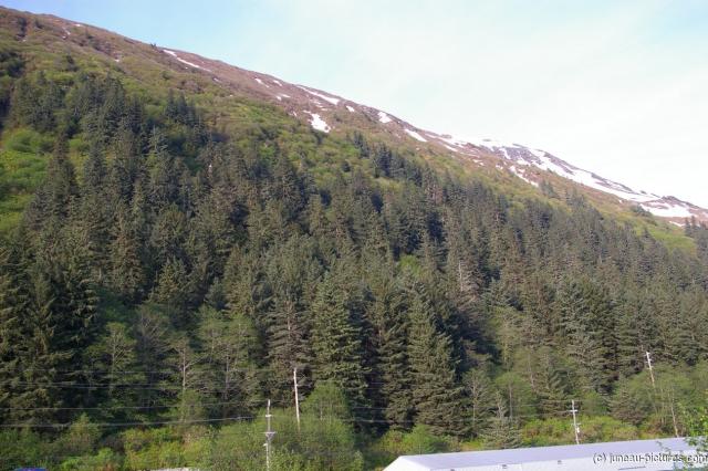 Mount Roberts in Juneau Alaska 3.jpg