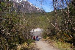 Trail at Mendenhall Glacier visitor area.jpg