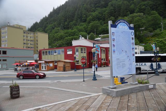 Alpaca International near Juneau Cruise Terminal Dock D
