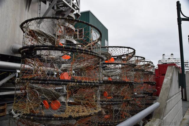 Crab Fishing Cages in Juneau