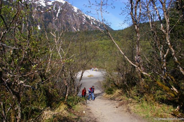 Trail at Mendenhall Glacier visitor area.jpg
