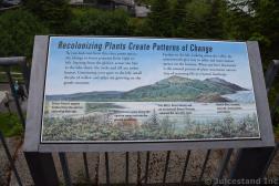 Recolonizing Plants Create Patterns of Change Info Outside Mendenhall Glacier Visitors Center