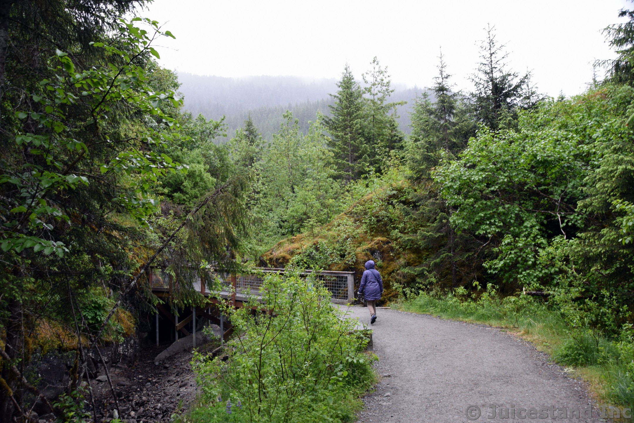 Bridge on the Nugget Fall Trail Mendenhall Glacier
