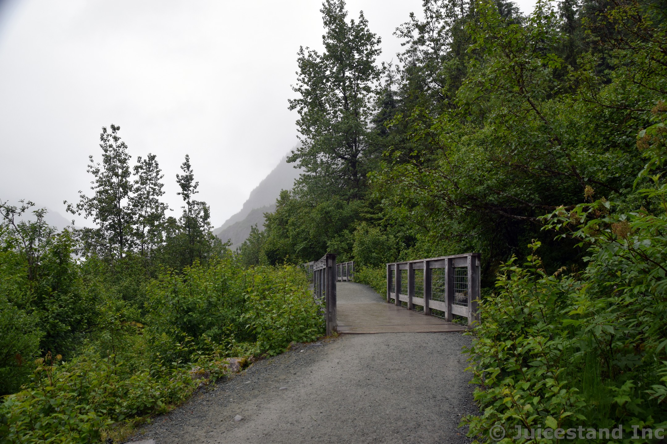 Bridges En Route to Nugget Falls Mendenhall Glacier