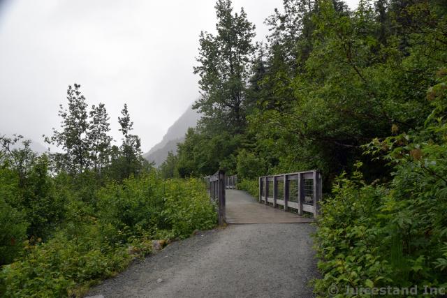 Bridges En Route to Nugget Falls Mendenhall Glacier