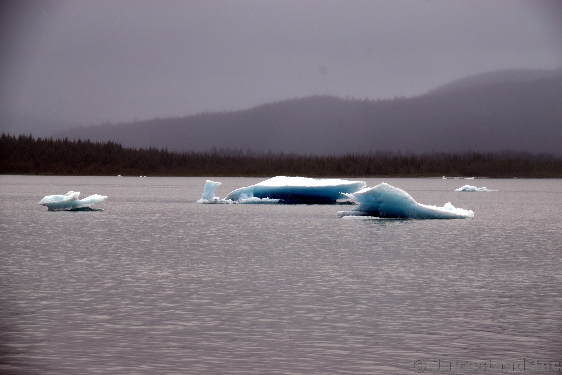 Chunks of Glacial Ice in Mendenhall Lake