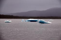 Chunks of Glacial Ice in Mendenhall Lake