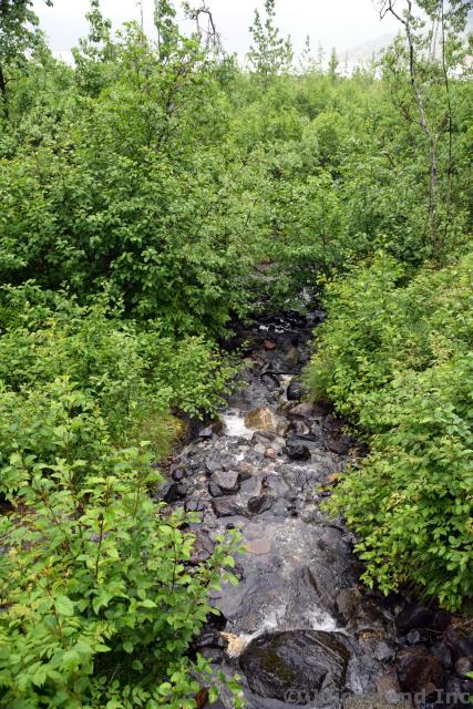 Fresh Water Stream next to Nugget Falls Trail