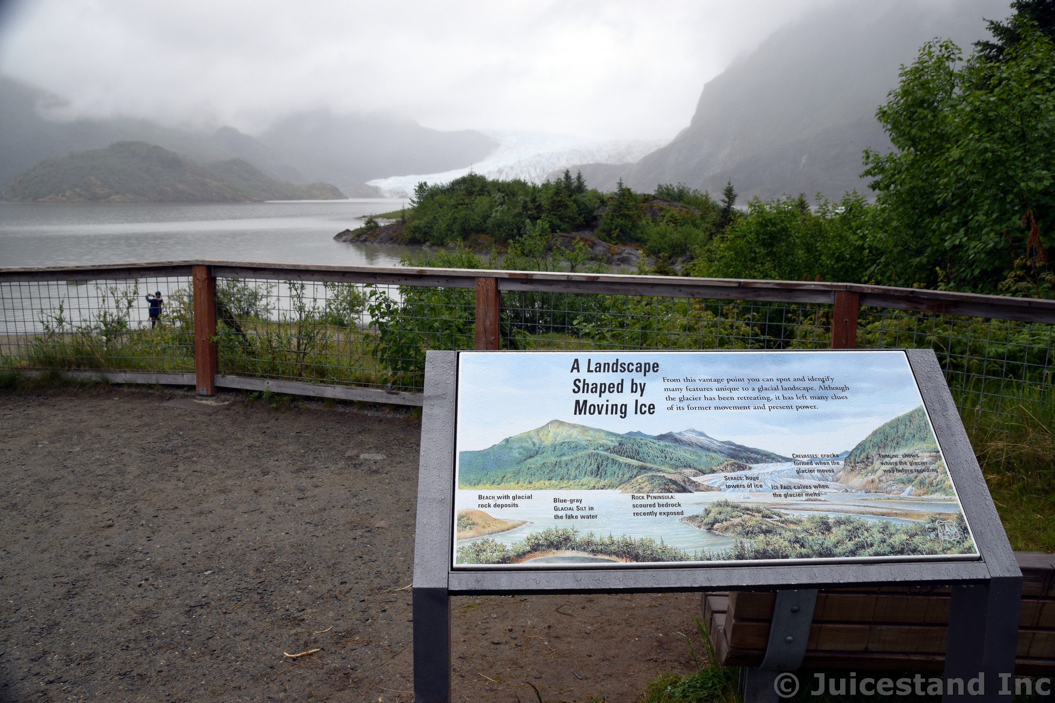 Landscape Shaped by Moving Ice near Mendenhall Glacier