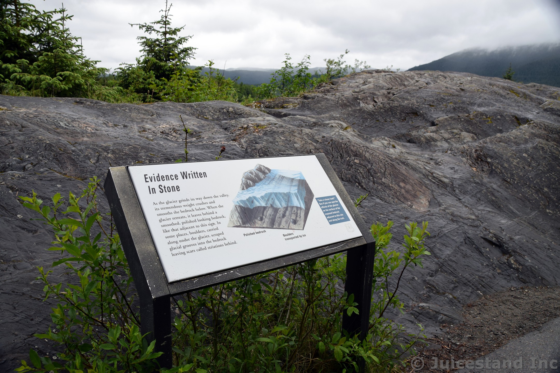 Mendenhall Glacier Evidence Written in Stone