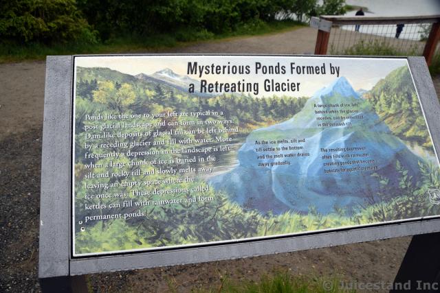 Mysterious Ponds Formed by a Retreating Mendenhall Glacier