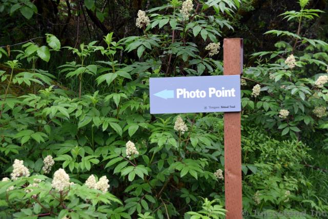Photo Point Trail Sign
