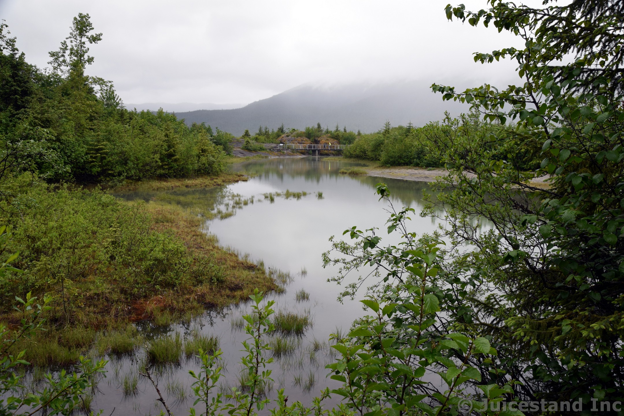 Pond and Bridge on the Nugget Falls Trail