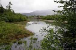 Pond and Bridge on the Nugget Falls Trail