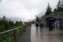 Restrooms & Dogs Must be on Leash Sign at Mendenhall Glacier