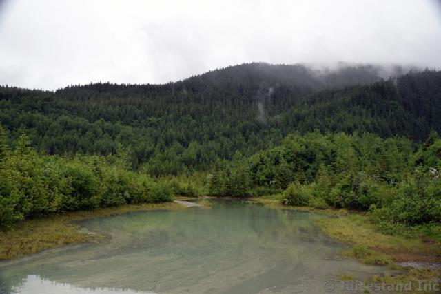 Shallow Pond Near Mendenhall Glacier