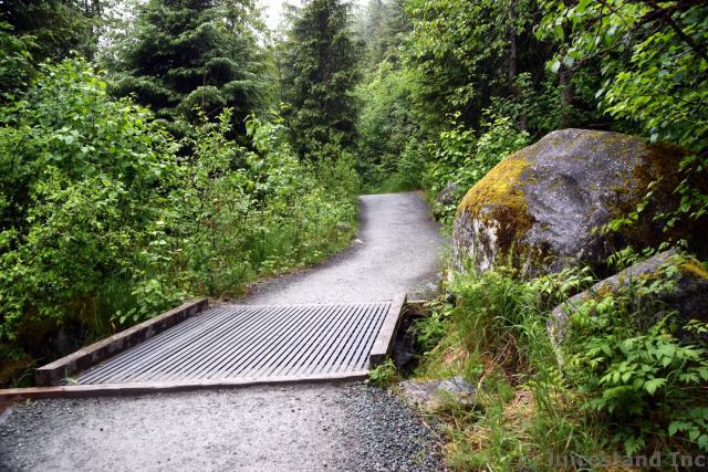 Small Bridge at Nugget Falls Trail