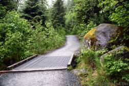 Small Bridge at Nugget Falls Trail