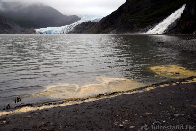 Strange Orange Residue Washing Up on Beach near Nugget Falls