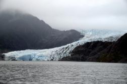 Terminus of Mendenhall Glacier June 2017