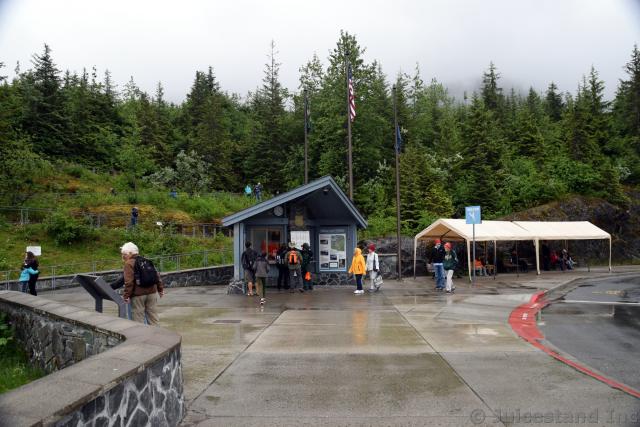 Tern Stop at Mendenhall Glacier