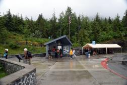 Tern Stop at Mendenhall Glacier