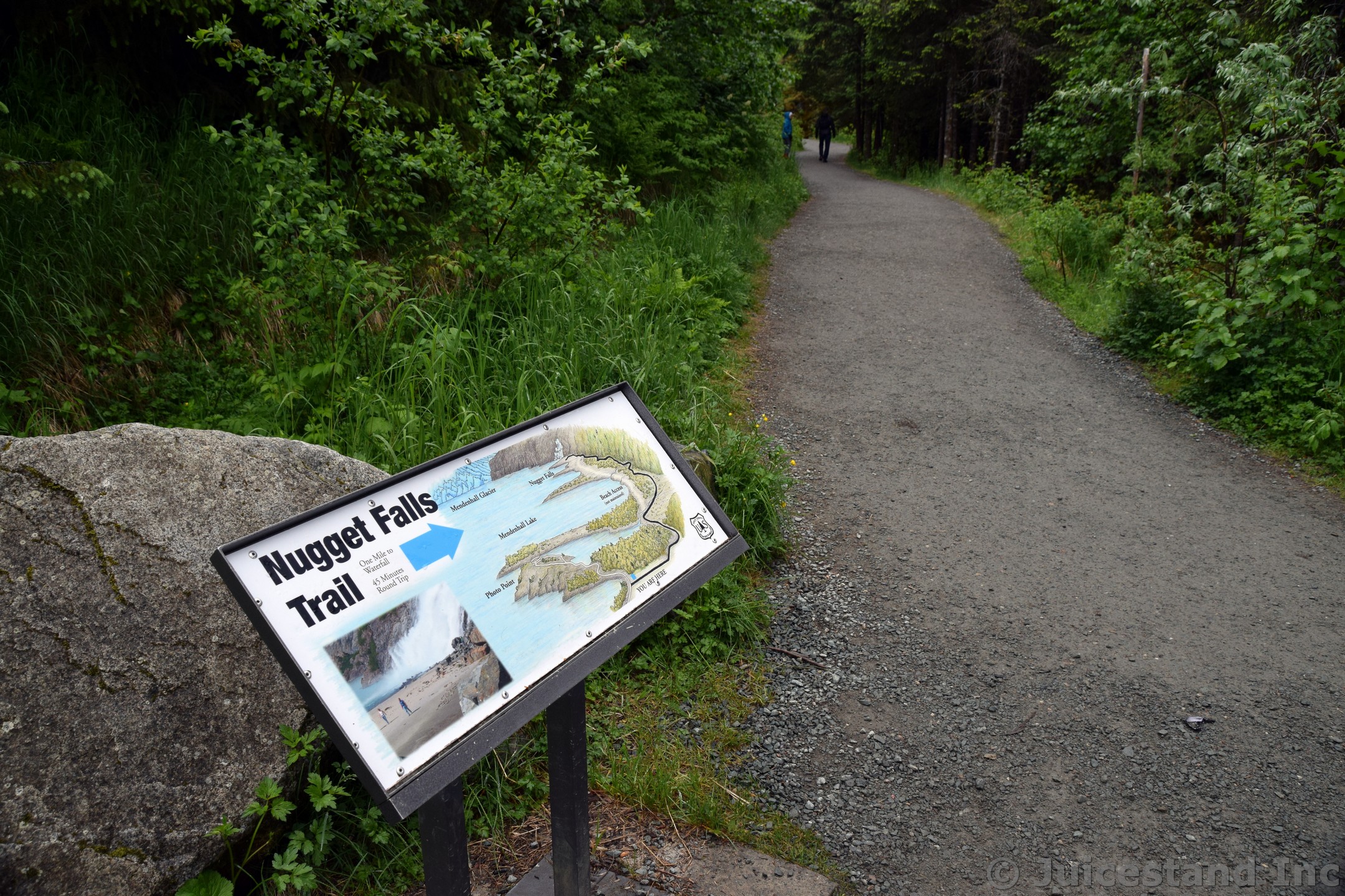 This way to Nugget Falls Trail at Mendenhall Glacier