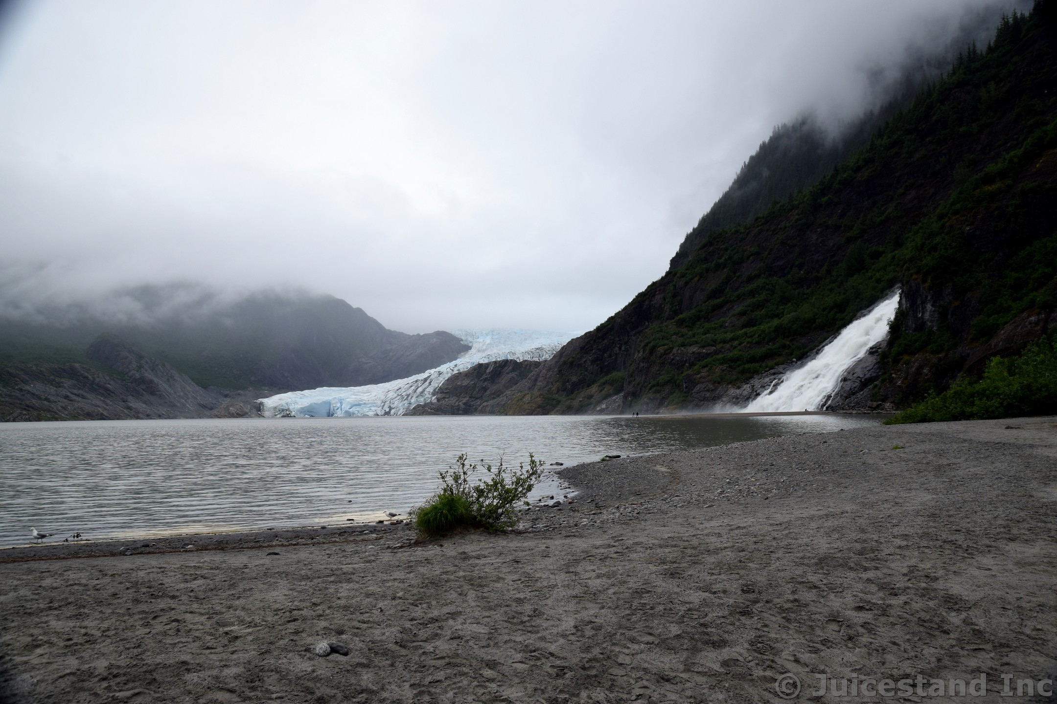 View of Both Nugget Falls & Mendenhall Glacier