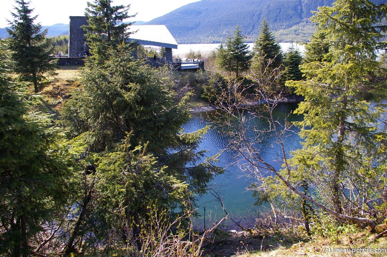 Pond at the Mendenhall Glacier visitor area.jpg
