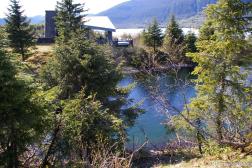Pond at the Mendenhall Glacier visitor area.jpg