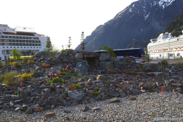 Rocks and flowers at the Juneau cruise pier.jpg